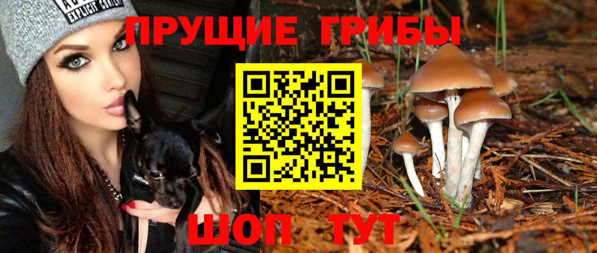 Аша  Псилоцибиновые грибы Psilocybine cubensis  Галлюциногенные грибы GOLDEN TEACHER  Вход с VPN 