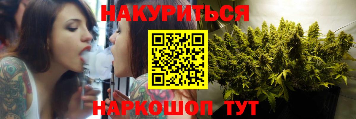 Канабис планчик Аша